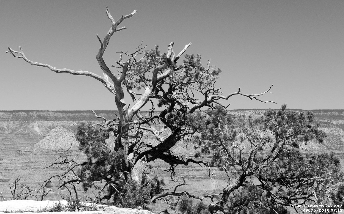49675RoCrBwLe - East along the Rim Trail toward Yavapai Point - the Visitor Center
